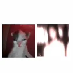 Eu em: