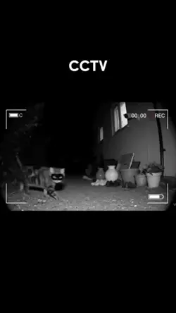cctv