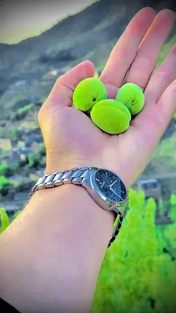 For you 
