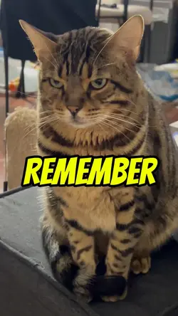 Remember 