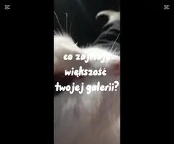 Och te zwierzaki ...
