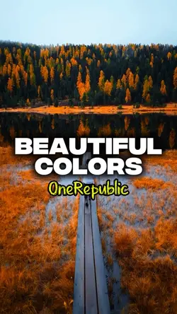Mini Vlog