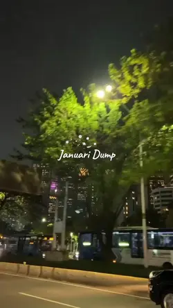 Januari Dump 2024