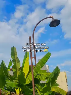 BESOK SEKOLAH LEE