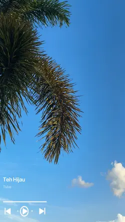 Teh hijau