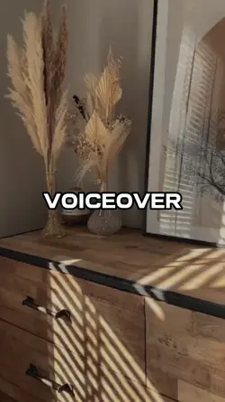 Voice over 