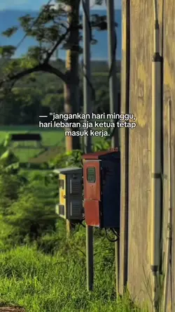 STORY