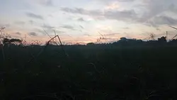 #phoo