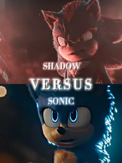 SONIC VS SHADOW