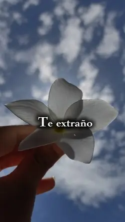 Te extraño