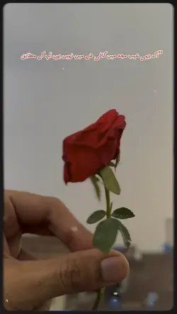 Sajna wali gal
