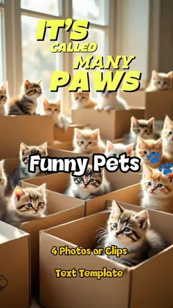 Many Paws 