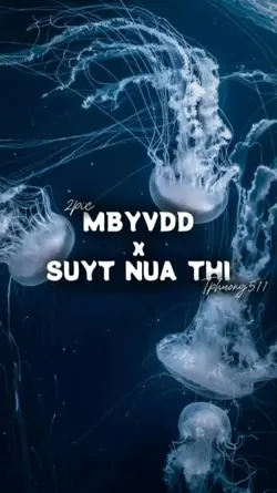[2] MBYVDD x SNT
