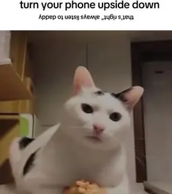 turn your phone