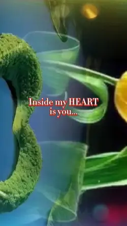 a love so beautiful