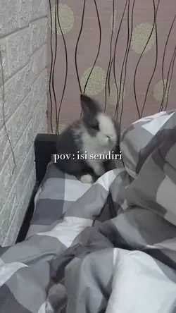 pov isi sendiri
