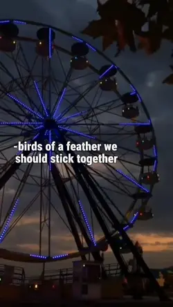 Birds of a feather
