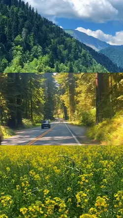 uzun yol