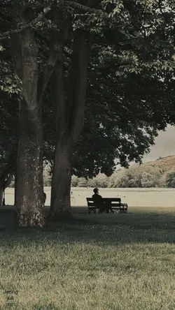 aesthetic |