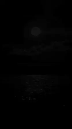 Dark Vibes 