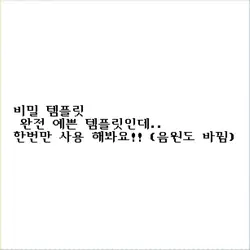 비밀 템플릿
