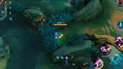 no more fresstyle