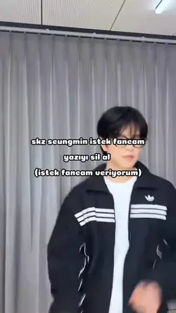 skz seungmin fancam 