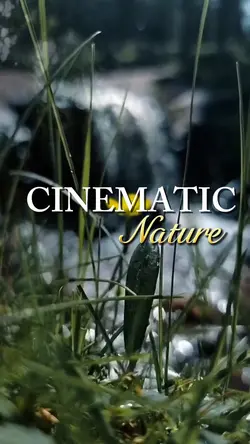 Cinematic Nature