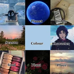 How Pintrest sees me