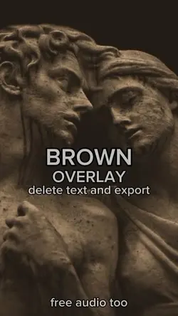 BROWN AESTHETIC