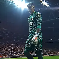 Muslera edit... 