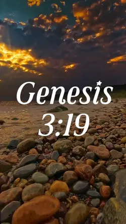 Genesis 3:19