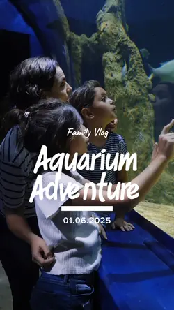 aquarium adventure