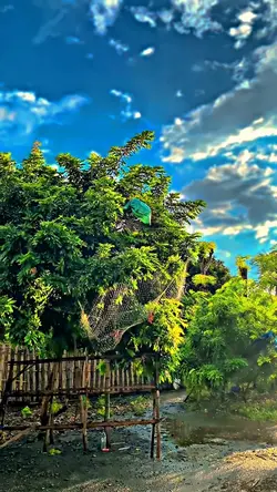 Filter iPhone hd