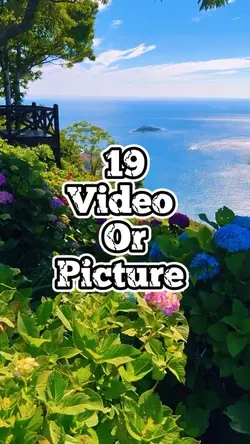 19 video new templat