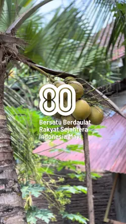 HUT RI KE 80