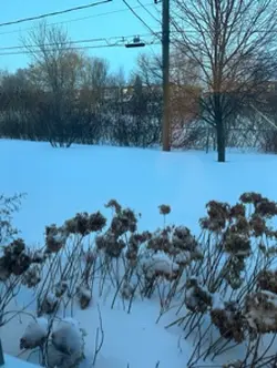 Winter blues