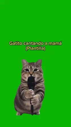 Gatito canta a mamá 