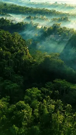 nature aesthetic