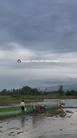 BAYANGAN GURAUAN VRL