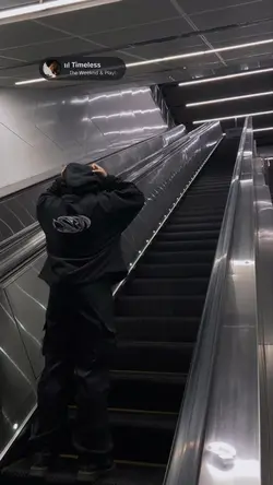 aesthetics