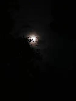 Moon