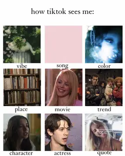 How tiktok sees me