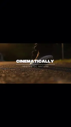 Aesthetic Cinematic 