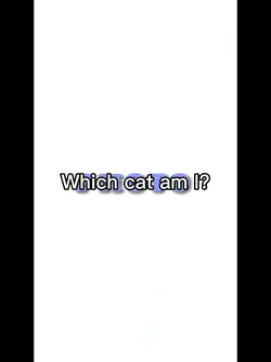 Which cat am I? 