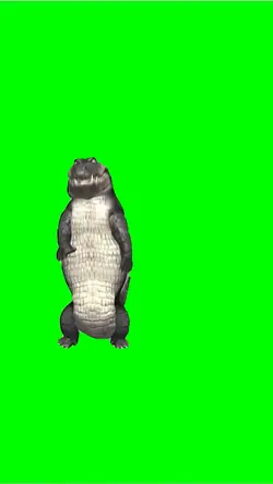 Dancing Crocodile 