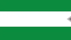 flag tamplate 