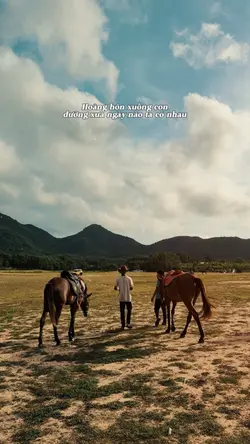 Truy mộng nhân -slow