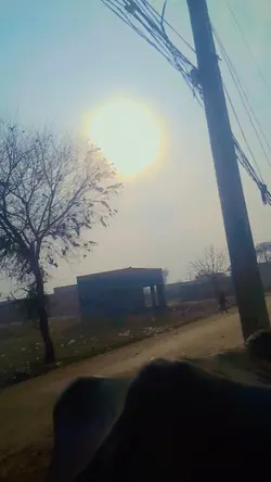 viral video 