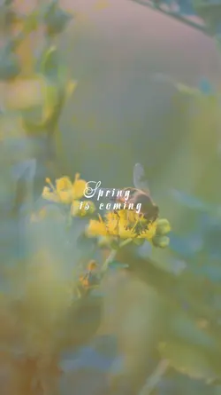 SPRING IS COMING